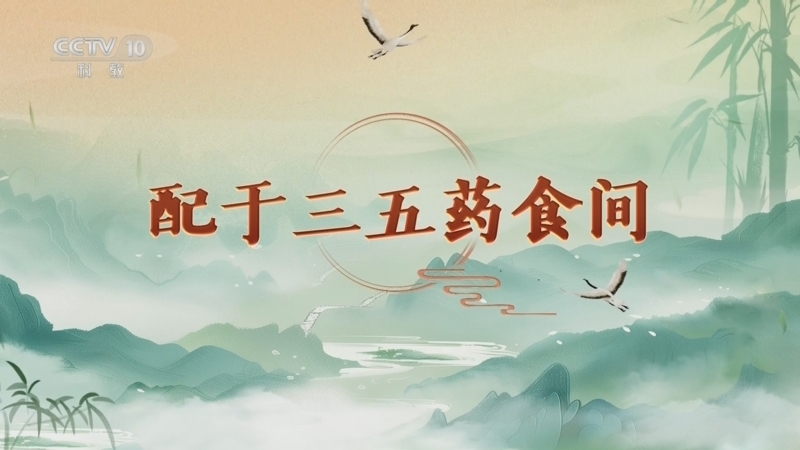 百家讲坛 《百家讲坛》 20250305 延年益寿话养生（第一部） 4 配于三五药食间