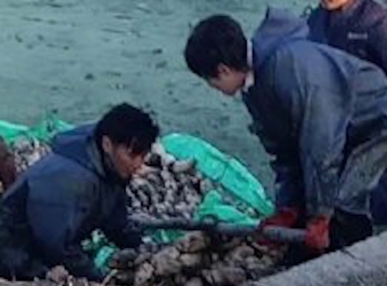 谢霆锋华晨宇泥地挖藕路透曝光