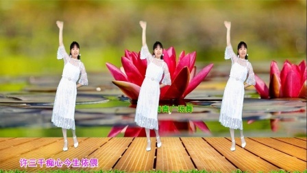 流行DJ广场舞及教学 第三季 心醉DJ《有你的季节花最美》广场舞教学