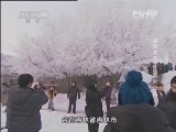 地理中国 《地理中国》 20141231 瑞雪兆丰年·雾凇奇观