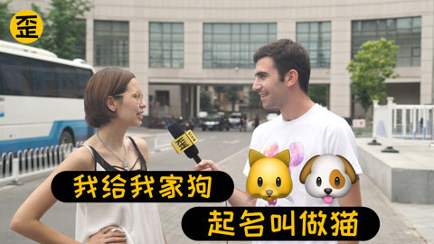 歪果仁研究协会 警犬遇到他竟然一走了之
