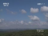 军事纪实 《军事纪实》 20161129 “精武”战记②
