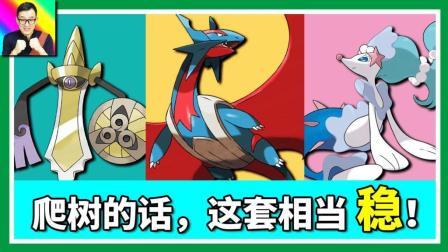 酷爱精灵宝可梦 第一季 这套打对战树相当稳