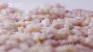 寻味顺德 寻味顺德 第三集 美味相传