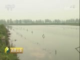 消费主张 《消费主张》 20180503 小龙虾今年涨价了吗？（上）