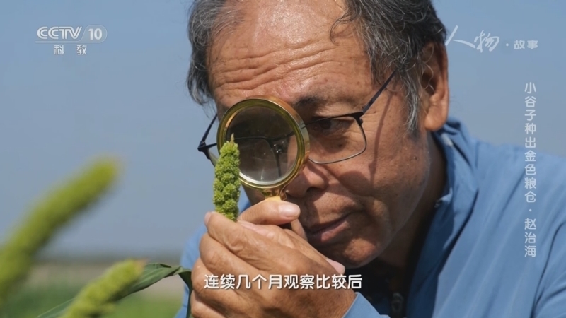 人物&middot;故事 《人物·故事》 20230223 小谷子种出金色粮仓·赵治海