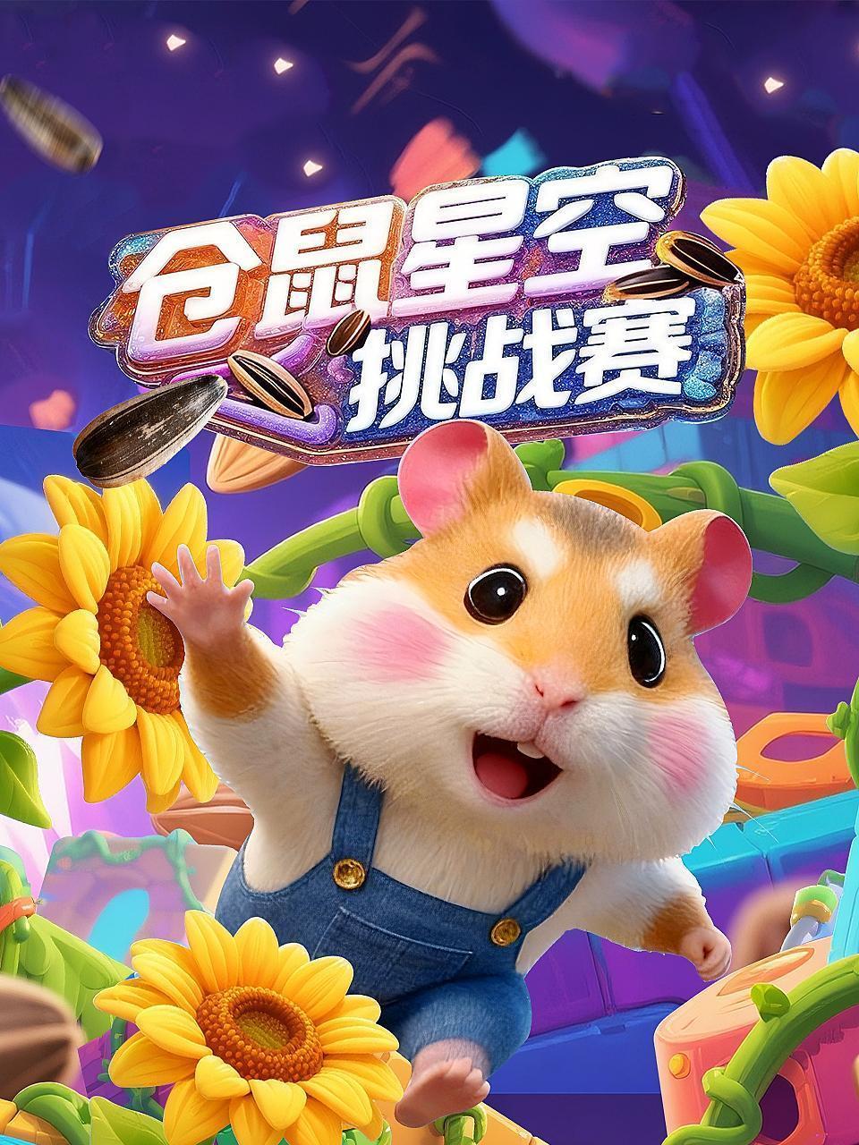 仓鼠星空挑战赛