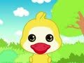 幼儿小寓言 小公鸡和小鸭子