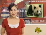 新闻袋袋裤 新闻袋袋裤 2010年 第224期