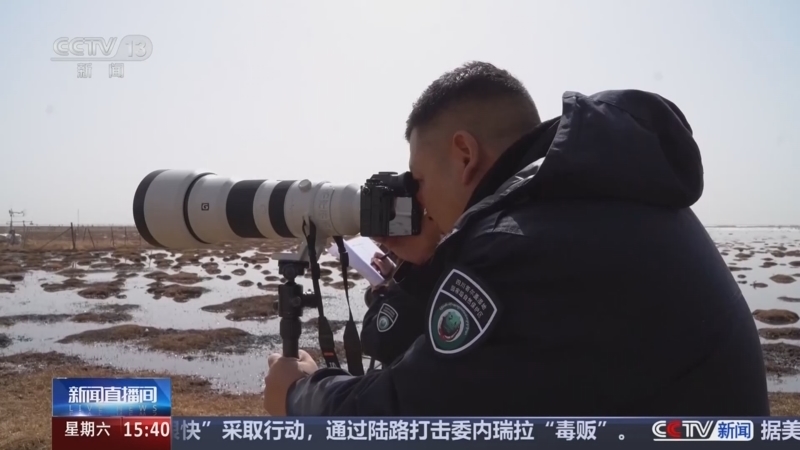 新闻直播间 《新闻直播间》 20251129 15:00