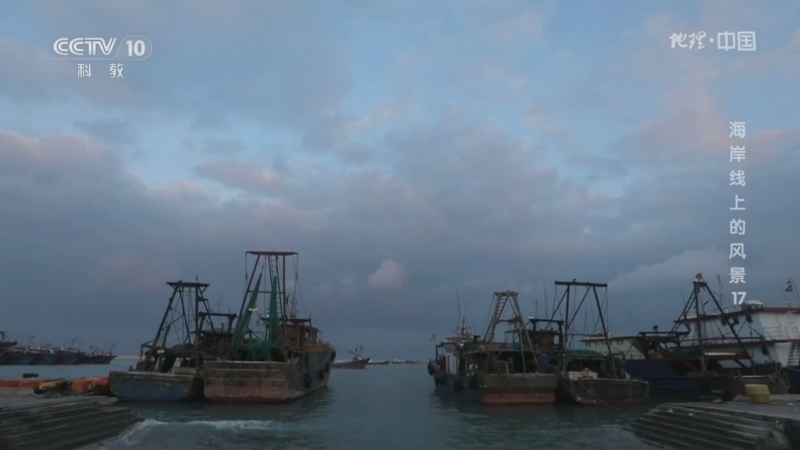 地理中国 《地理·中国》 20260318 海岸线上的风景17