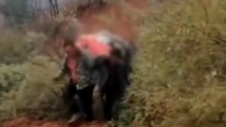 母女3人在养猪场身亡 一家4口仅剩1人