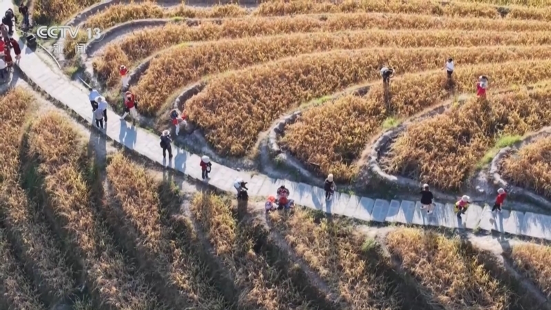 24小时 《24小时》 20241027