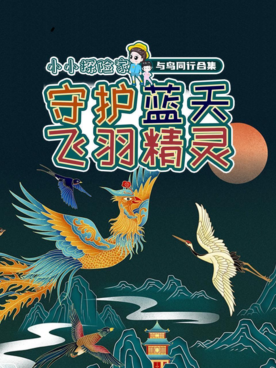 与鸟同行合集：守护蓝天飞羽精灵