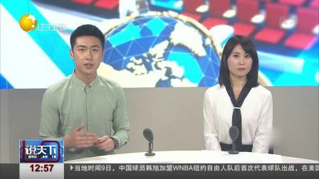 说天下 大连最后一批被救助斑海豹幼崽放归大海