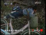 健康之路 树枝刺入头颅之后