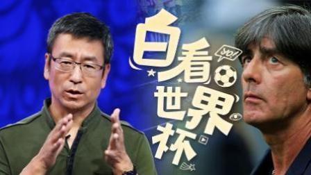 白看世界杯 白岩松：我赞赏德国队 为何不是它的球迷？