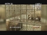 生财有道 《生财有道》 20150108 踏平坎坷獾财来