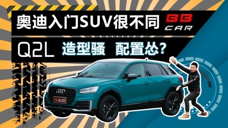 奥迪入门SUV很不同, Q2L造型骚、配置怂?