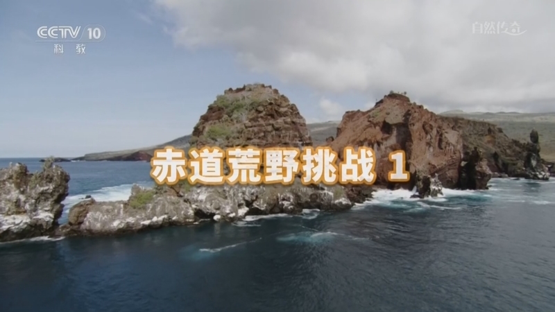 自然传奇 《自然传奇》 20260206 赤道荒野挑战 1