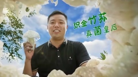 与梦想合拍 织金竹荪 真菌皇后