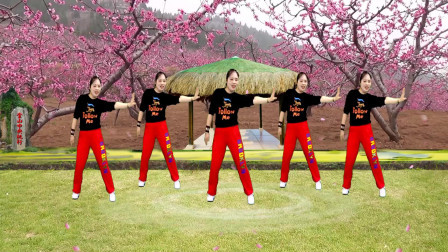 山水组合DJ《把你装在心窝窝》64步流行舞简单时尚