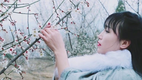 李子柒古香古食 养胃的梅花鸽子汤！