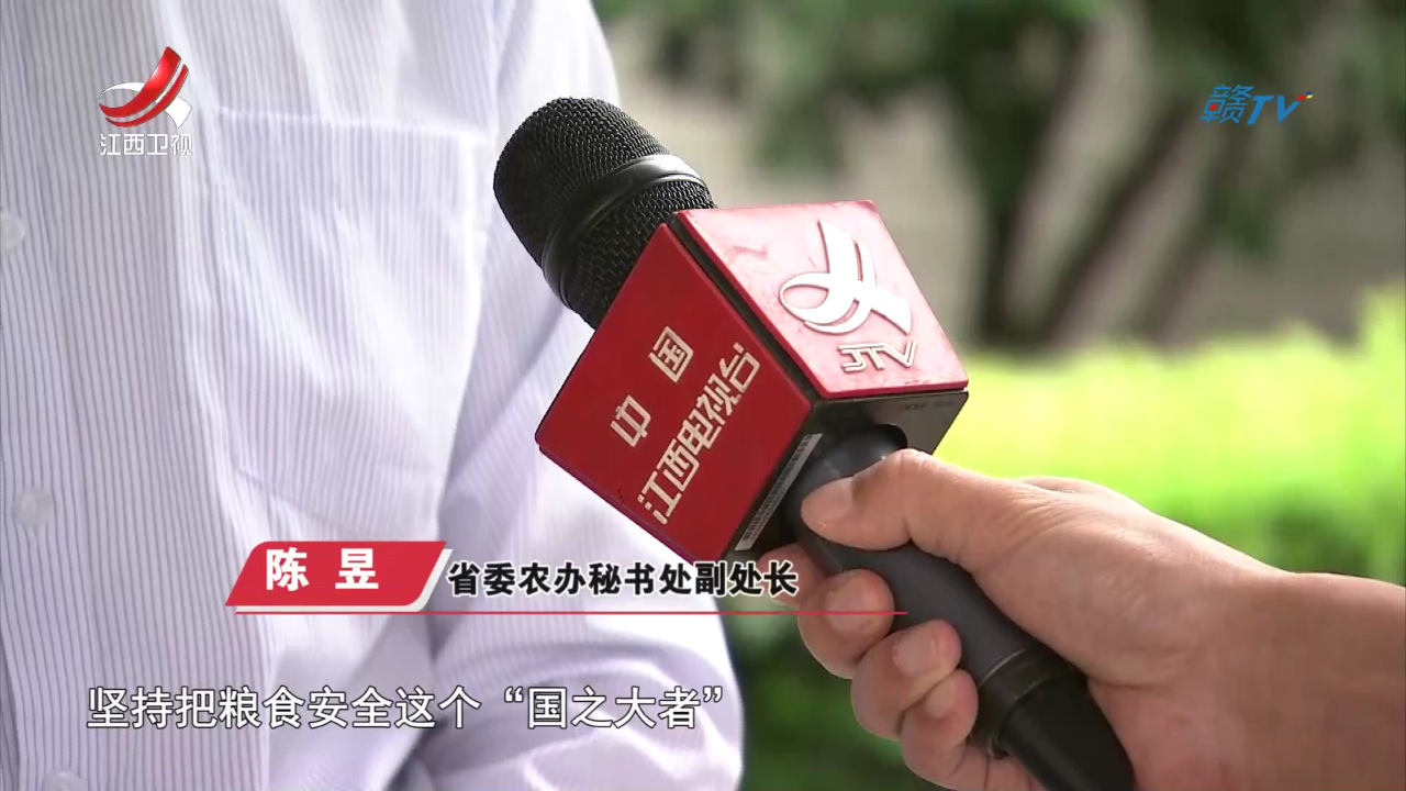 社会传真 【沿着总书记指引的方向 加快推动高质量发展】深入推进乡村振兴 绘就“三农”新图景