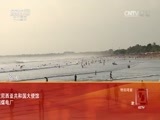 远方的家 《远方的家》  一带一路 第57集 印度尼西亚：海上明珠多彩巴厘 20161121