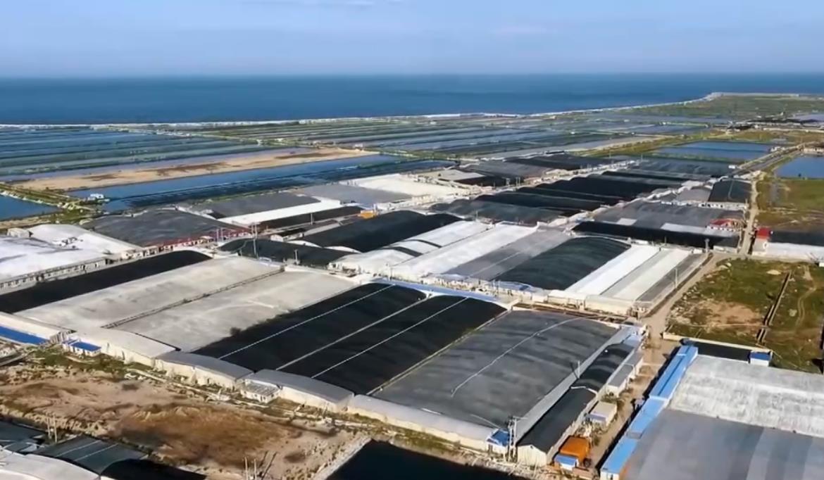 三农群英汇 《三农群英汇》 20201123 大鱼海塘