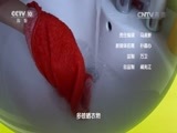 原来如此 《原来如此》 20160724 杀死螨虫