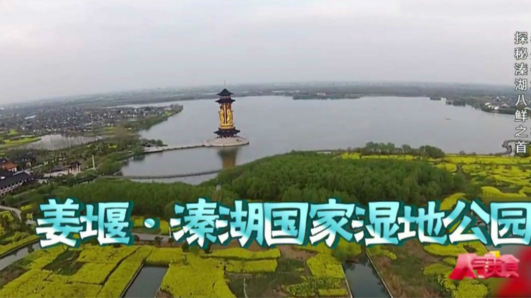 人气美食 探秘溱湖八鲜之首 泰州姜堰小杨村