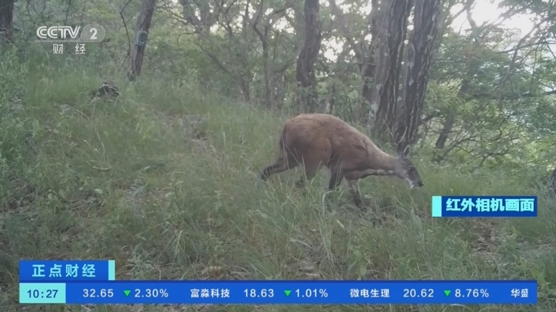 正点财经 《正点财经》 20221123 10:00