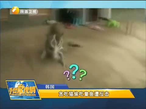华夏夜表情 《华夏夜表情》 20150228