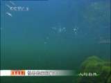 人与自然 人与自然 2010年 第87期
