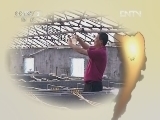 生财有道 《生财有道》 20120531 小小蛏苗大事业