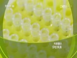 走近科学 《走近科学》 20170814 伊蚊来袭