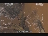 地理中国 《地理中国》 20130805 河谷谜案 上
