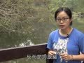 动物大明星 动物大明星 石虎