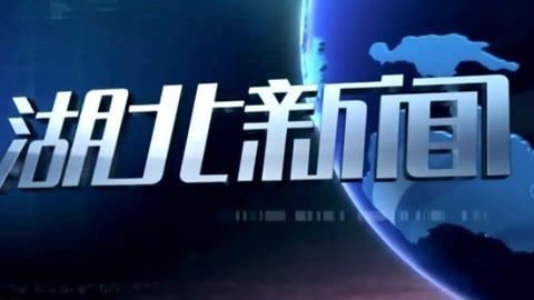 湖北新闻20210729