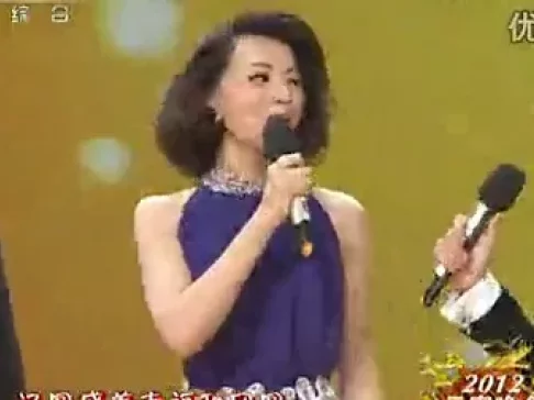 歌曲《卖汤圆》朱军 李咏 董卿 毕福剑 撒贝宁 李思思