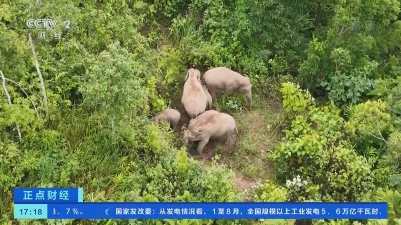 正点财经 《正点财经》 20220919 17:00