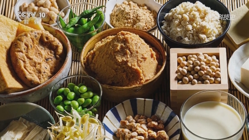 《解码科技史》 20251008 豆香千年