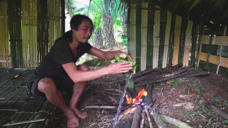 原始丛林人苏门答腊 第二季 丛林野外生活，在建造的新房子里，享受着秋天的野果