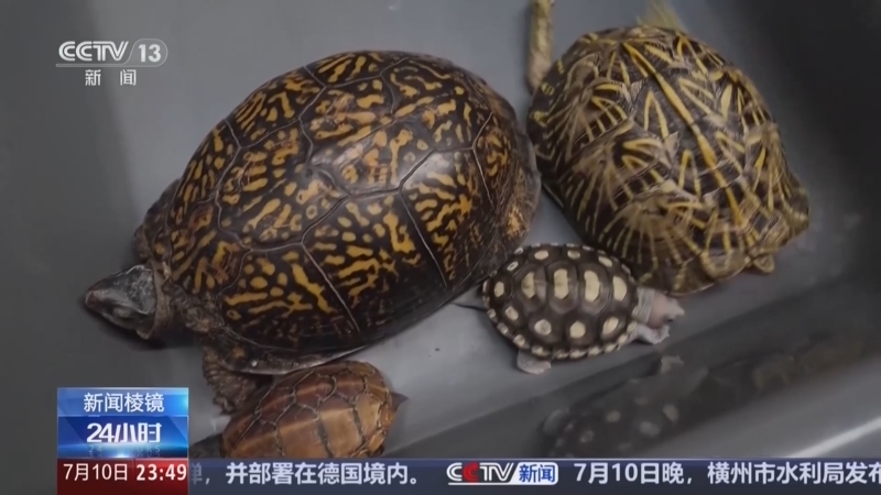 24小时 《24小时》 20260710