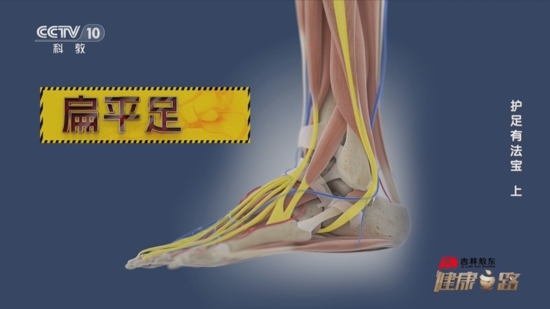 健康之路 《健康之路》 20240529 护足有法宝（上）