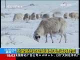共同关注 共同关注 2009-11-10