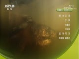 自然传奇 《自然传奇》 20171128 动物杀手大抓捕