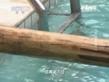 原来如此 《原来如此》 20150621 一苇能否渡江