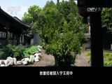 百家讲坛 《百家讲坛》 20170429 五百年来王阳明（21）决战鄱阳湖